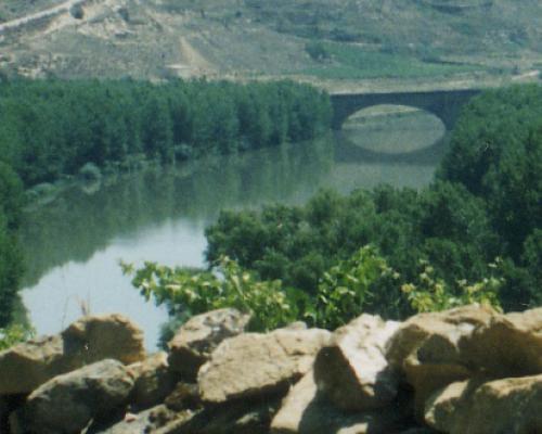 Puente Medieval sobre el Ebro