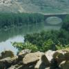 Puente Medieval sobre el Ebro