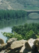 Puente Medieval sobre el Ebro