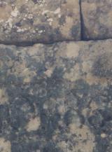 Inscripción en Piedra de 864